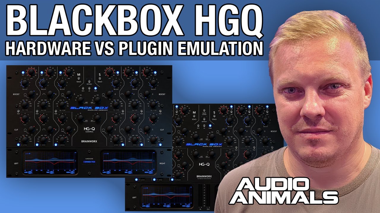 Blackbox HGQ Hardware VS Plugin Emulation