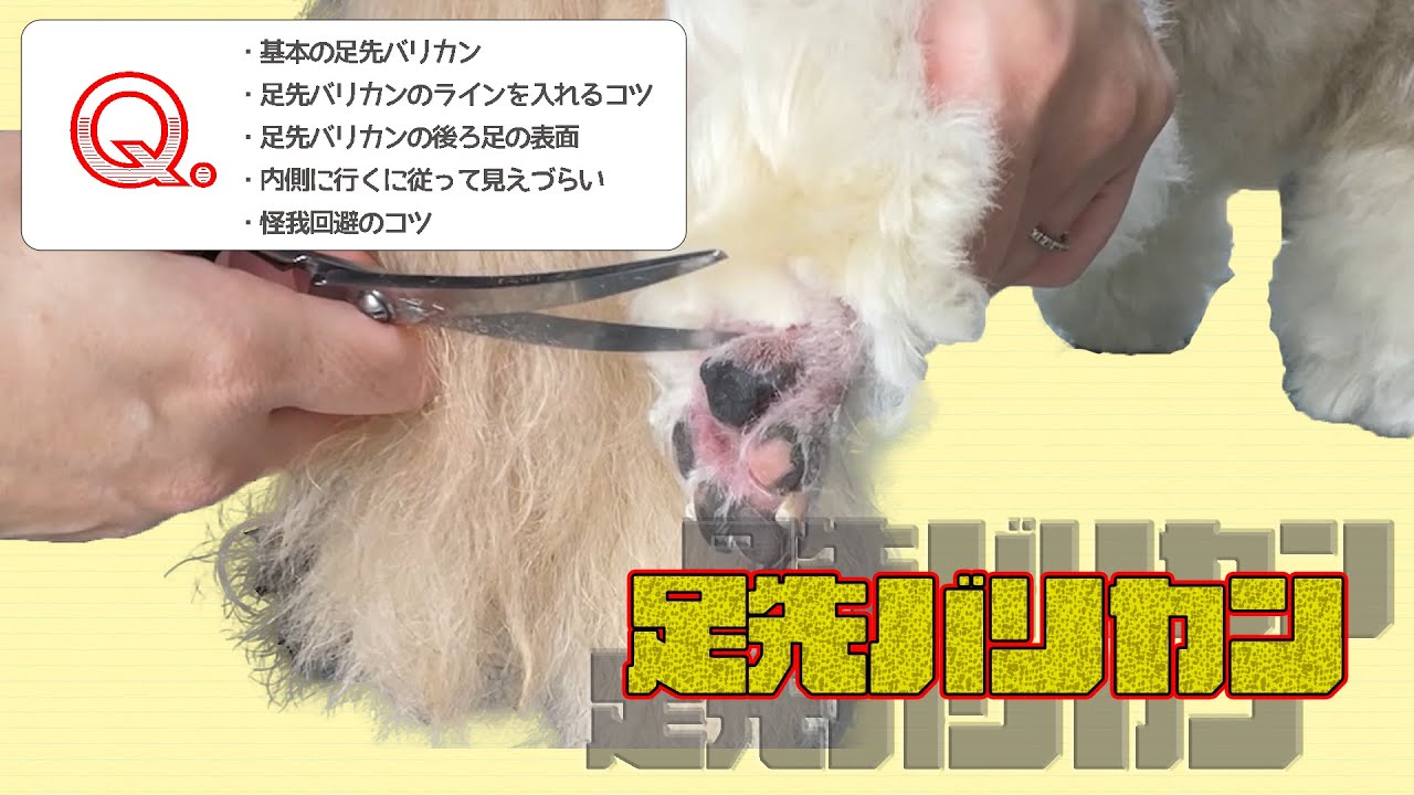 #139　　【足先バリカン】基本の解説と質問へのアドバイス