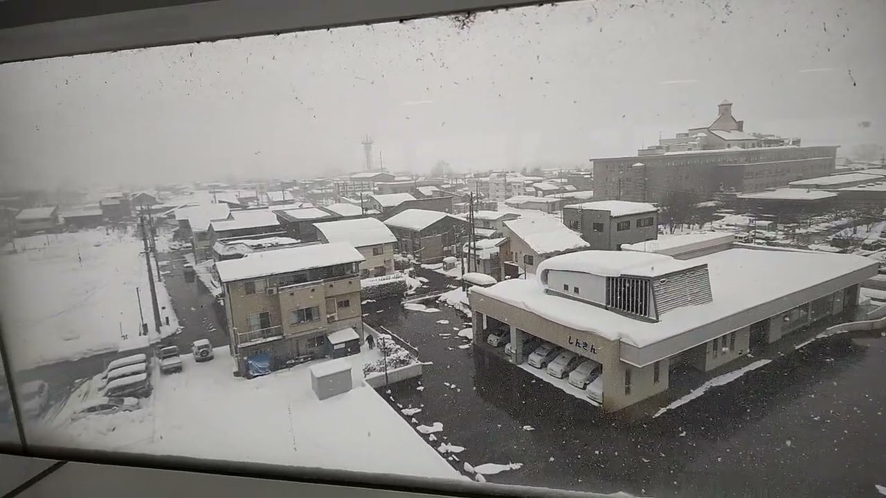2026年2月15日
