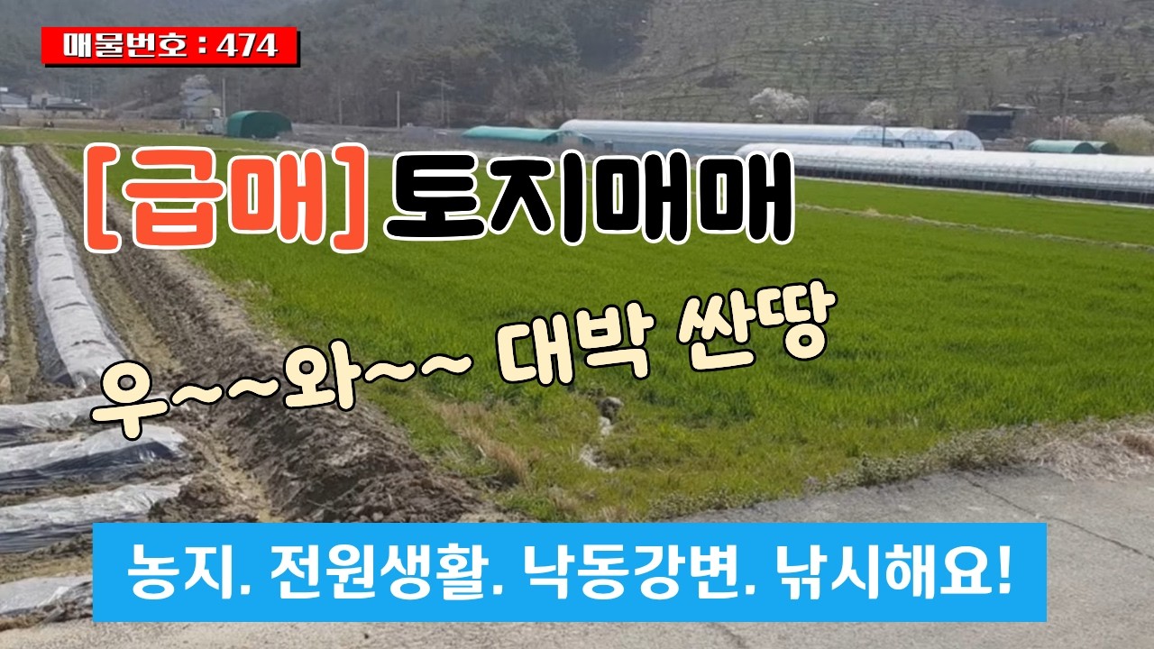 급매 토지매매 김해땅 낙동강 변 전원생활 농사짓기 낚시 농지연금 기대 - 474 #급매 #토지매매 #농지연금