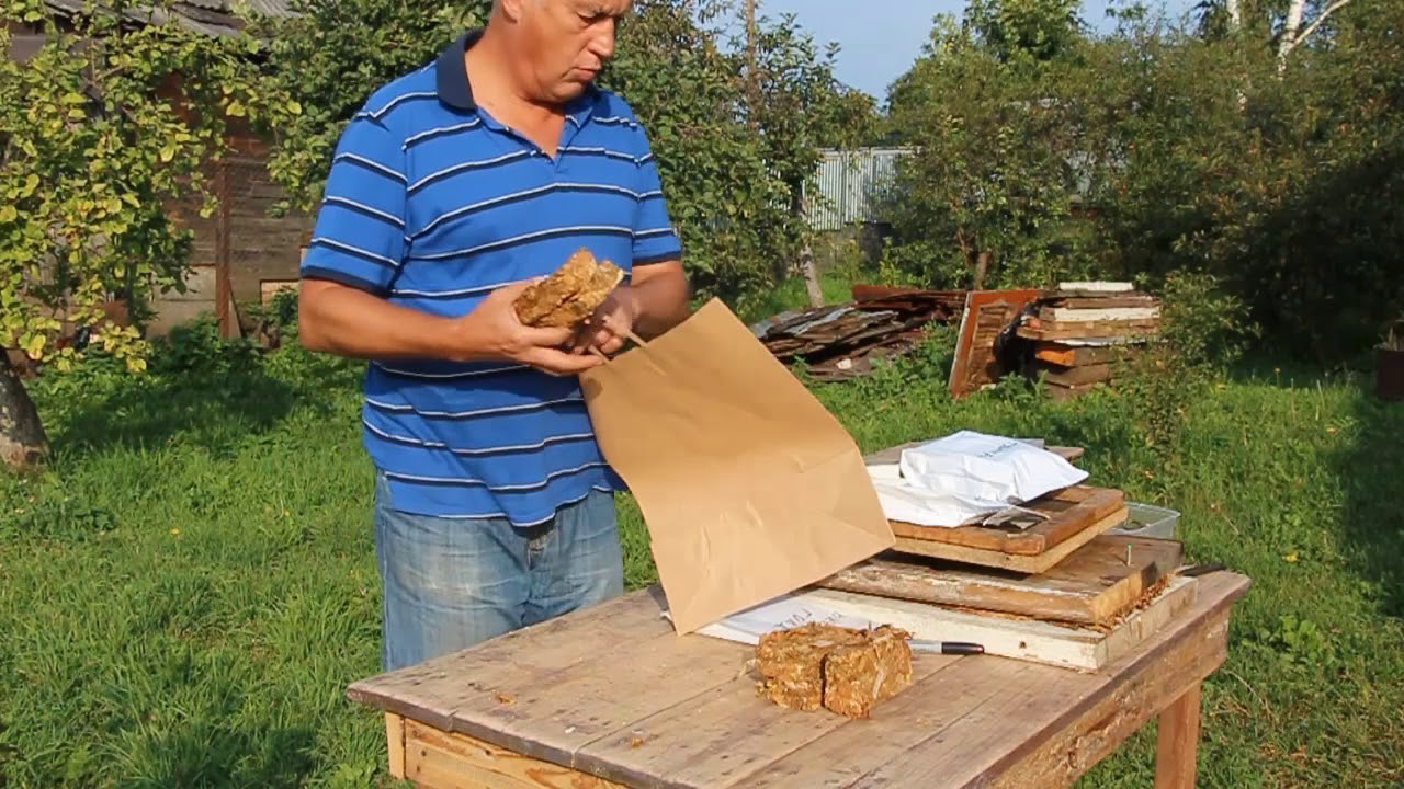 «Обработка урожая табака: сохранение листа в плагах для сигар и трубки. Бонус – засолка терна»