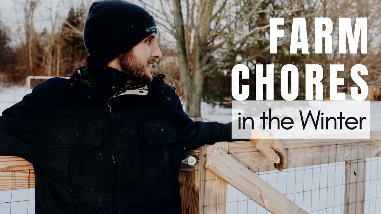 Farm Chores on the Homestead With Chris | Winter on the Farm