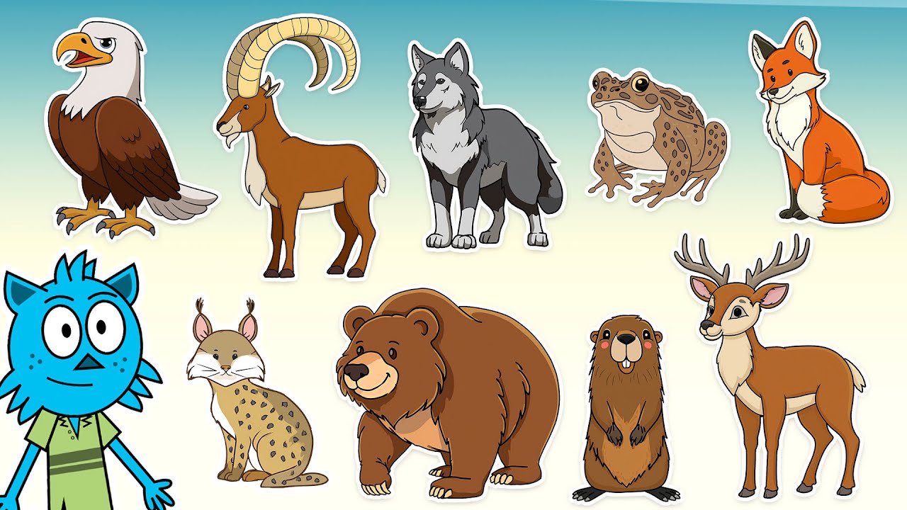 ⛰️ Gli Animali della montagna🐻🦊  | Video per bambini con suoni reali!