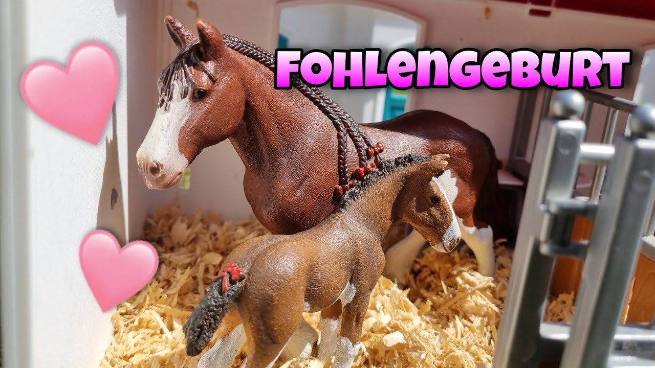 Fohlengeburt❤️🐴Missy bekommt ein Fohlen💞