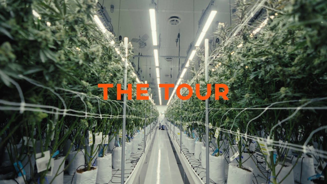 Vivid Grow Tour