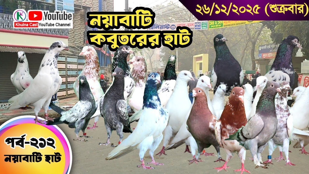 নয়াবাটি কবুতরের হাট পর্ব-২১২।।খুলনা জেলার সবথেকে বড় কবুতরে হাট নয়াবাটী ।। the Largest pigeon market