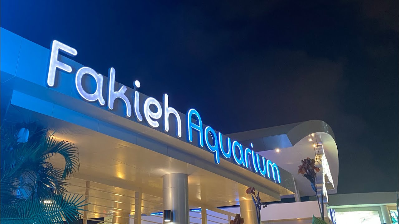 #فقيه كواريوم  🐬🐬🐬🐋 #جدة   السعودية