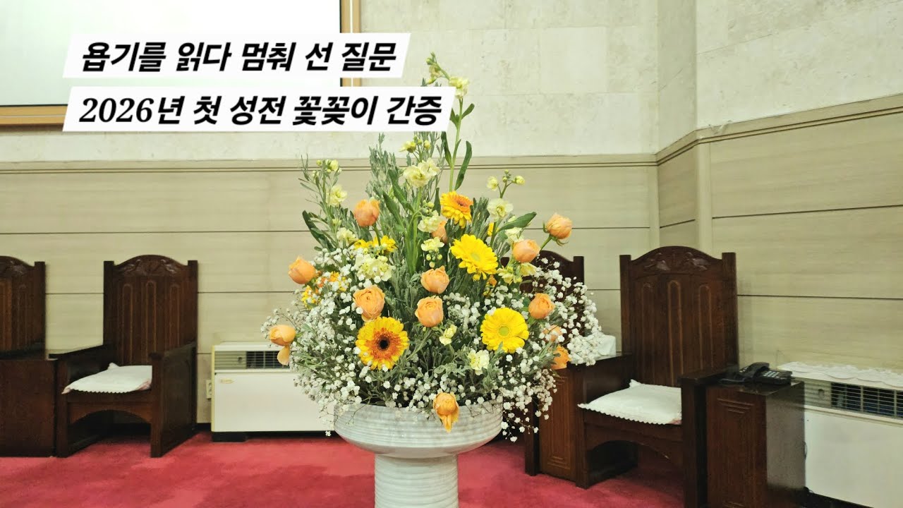 욥기를 읽다 멈춰 선 질문｜2026년 첫 성전 꽃꽂이 간증
