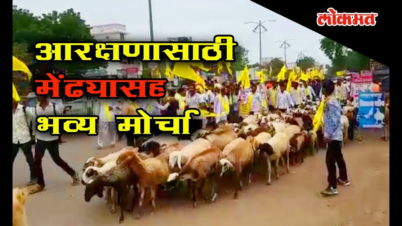 Dhangar Reservation Updates | Protesters rally along with sheep at Kopar Village