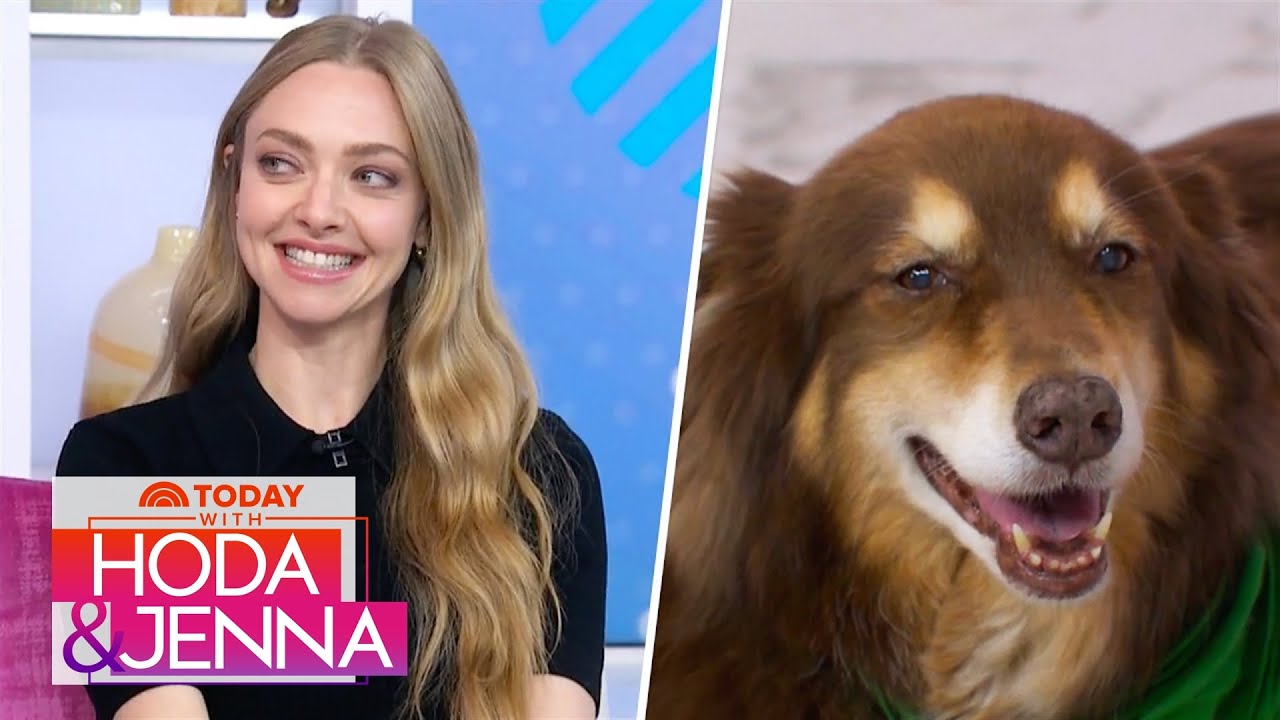 Amanda Seyfried talks importance of pet insurance, ‘Mamma Mia 3’