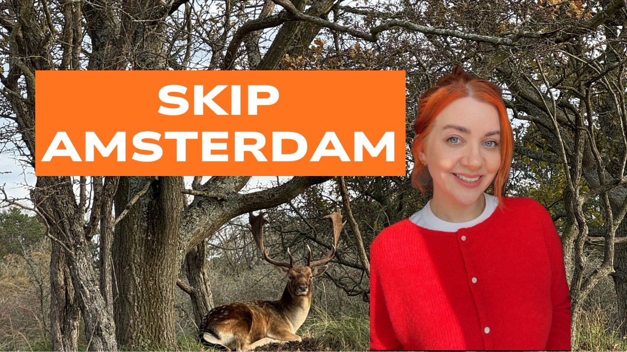 Aberdeen to Amsterdam, a weekend in Haarlem & Zandvoort, day trips from Amsterdam