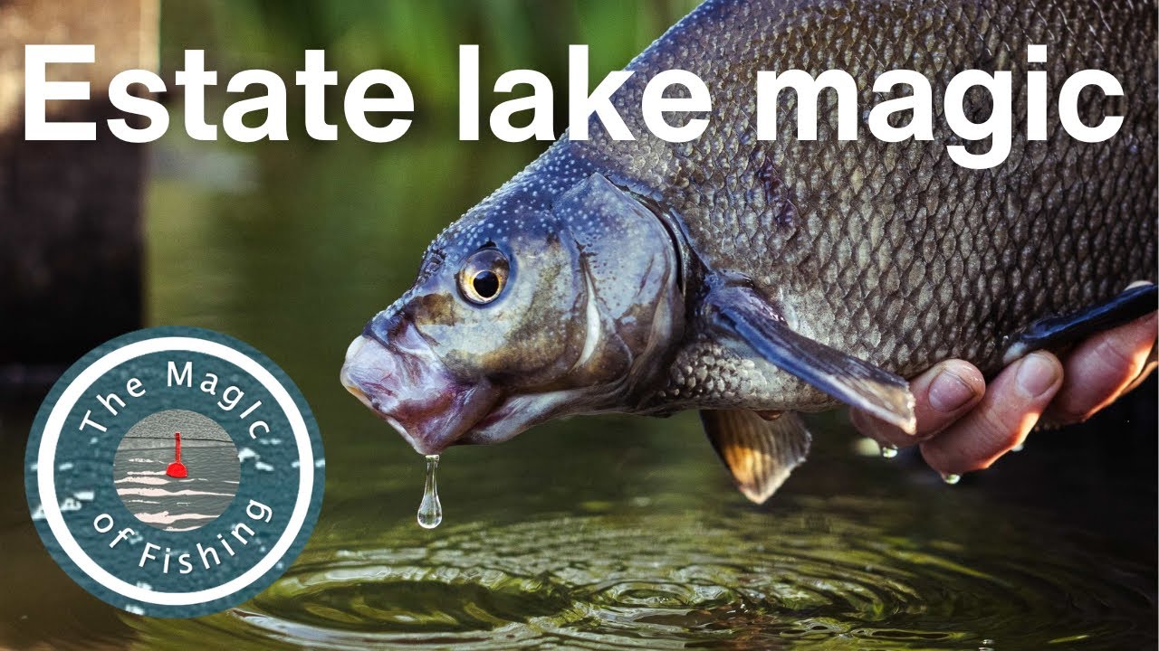 Dream bream fishing on an old estate lake