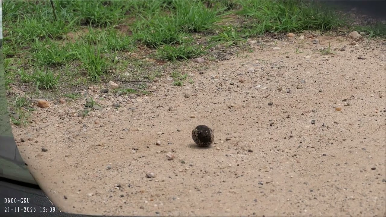 OCT NOV 2025 part 19