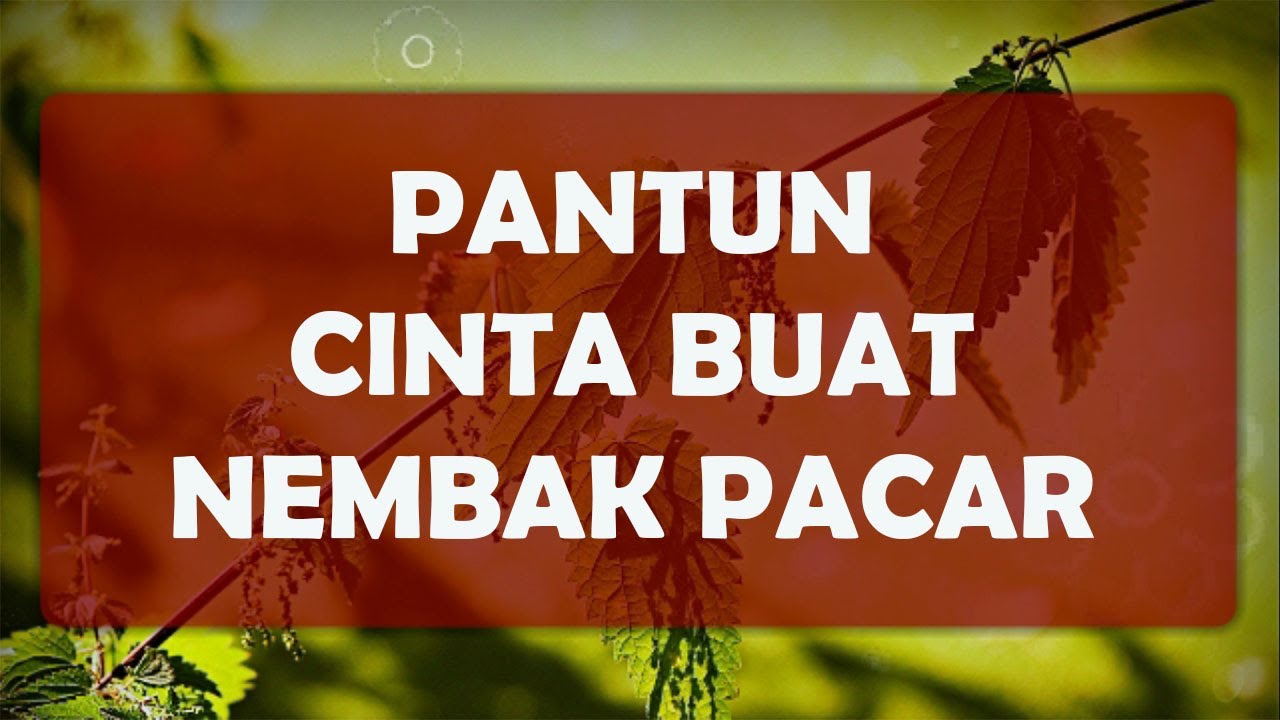 PANTUN CINTA BUAT NEMBAK PACAR