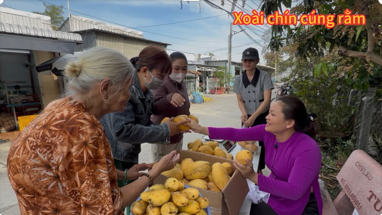 Bán Xoài Chín Cho Bà Con Cúng Rằm/Tập 51