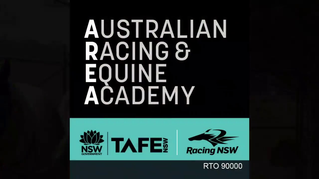 AREA Racing Courses - Stablehand to Trackrider