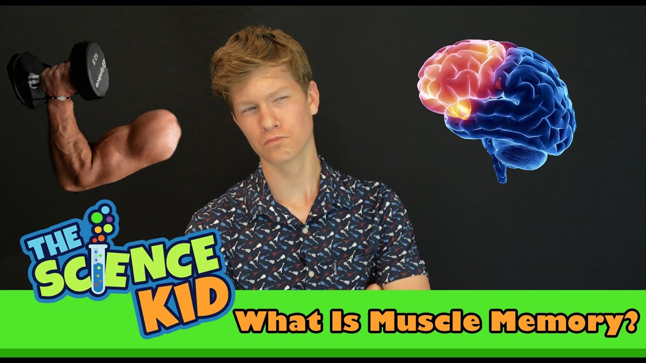 What's the Difference Between Muscle Memory and "Muscle Memory"?