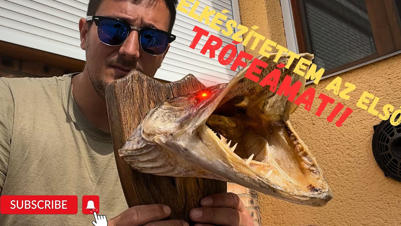 Elkészítettem az első trófeámat! A trophy made of pike head! #fishing #pike