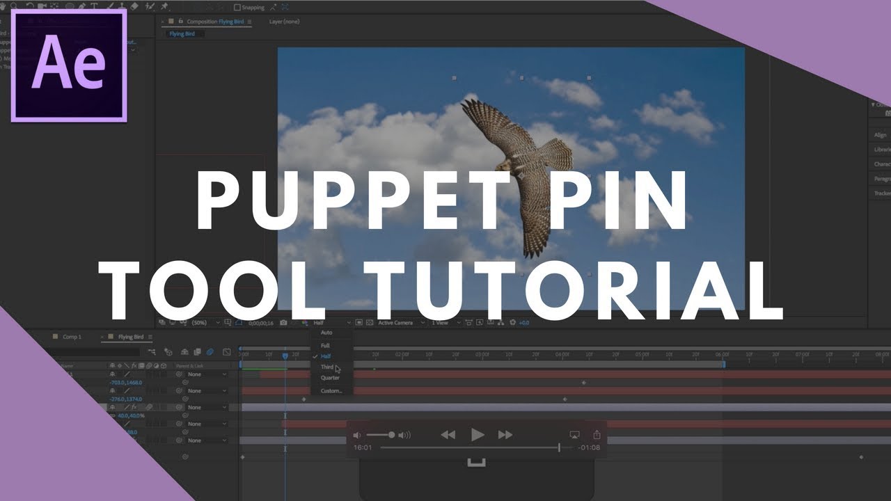 Animate with the Puppet Tool in After Effects