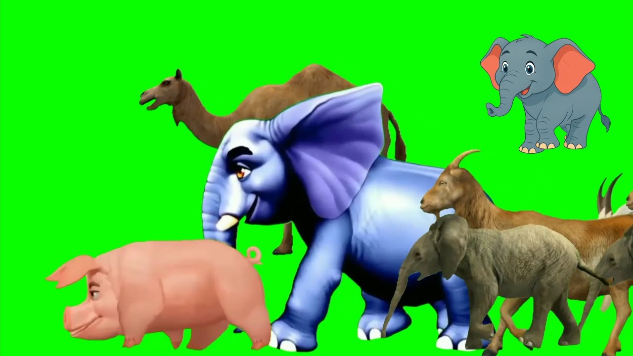 Long Slide Game with Cow Elephant Gorilla Hippopotamus Tiger - 3d Animal Game - funny 3d Animals