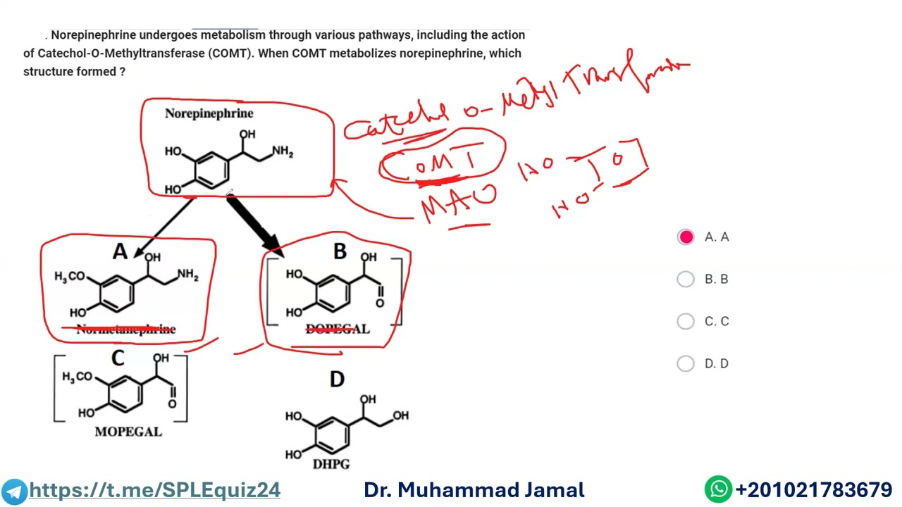 فهم أسئلة الEnzymes التي تتكرر كثيراً في اختبار البرومترك