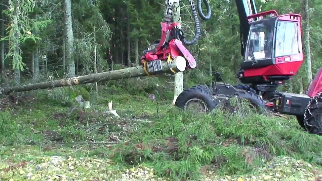 SP 561 LF on Valmet 911.4