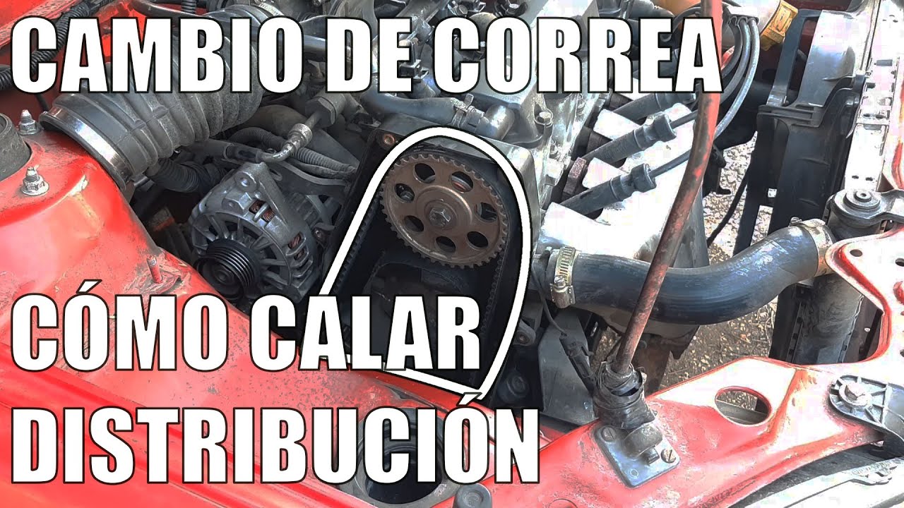 Correa de Distribución y Puesta a Punto Daewoo Lanos