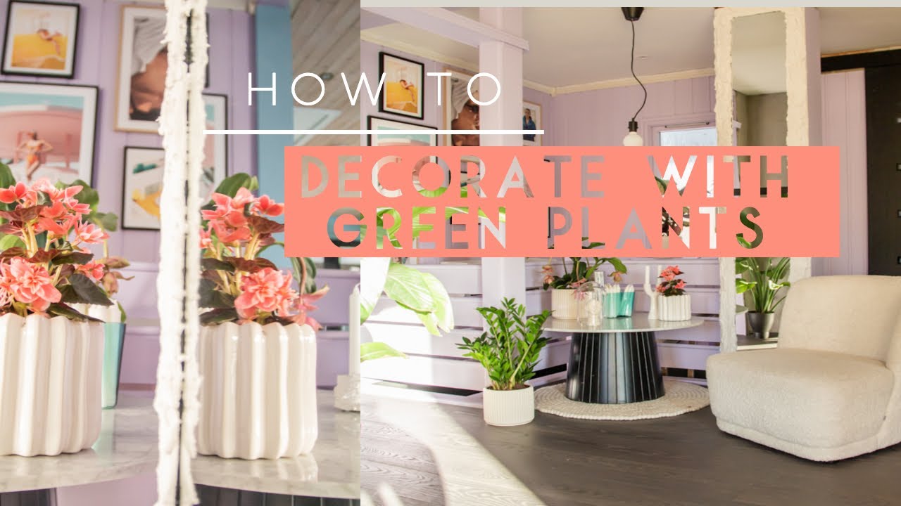 How to decorate with green plants at home.
