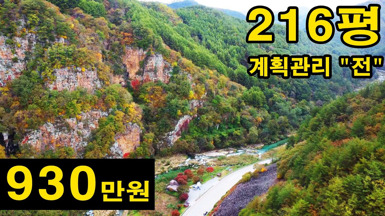 계곡 근처 땅이 930만원! 계획관리, 도로접, 농막, 체류형쉼터 등