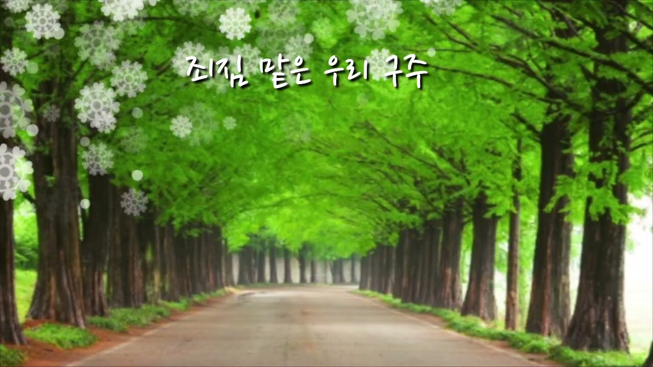 [2시간]내영혼의 찬양 hymn  피아노연주