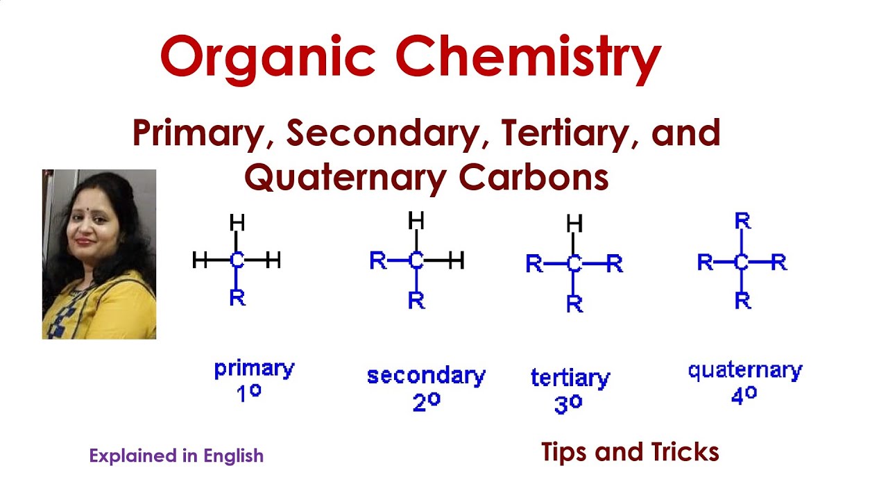 Primary, Secondary, Tertiary, and Quaternary Carbons