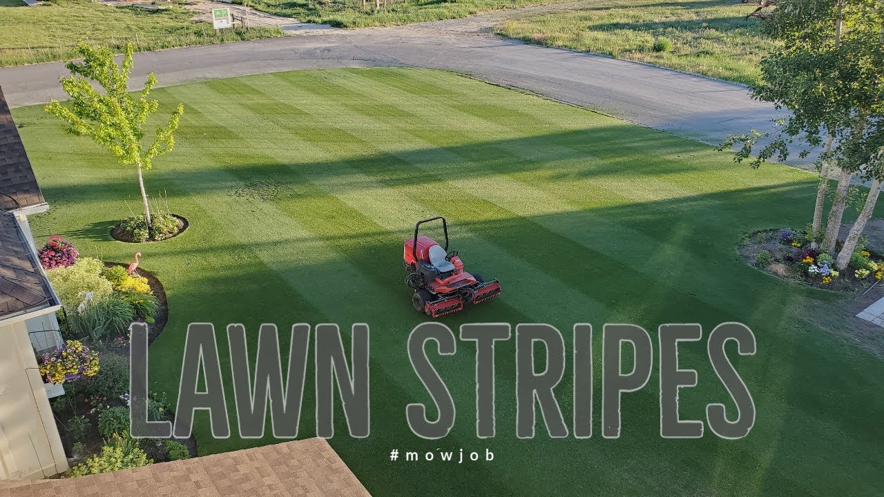 STRIPE THE LAWN