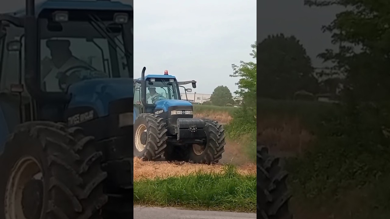 New Holland TM165 #tractorvideo #tractor #fypシ #shorts #besttractor #agricultura #newholland #old