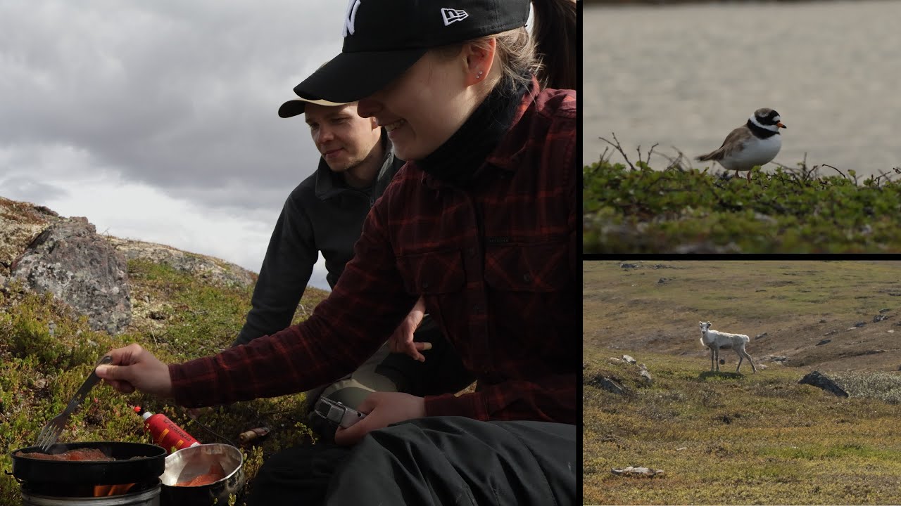 Ifjordfjellet - heinäkuinen retki Finnmarkin rautuvesille
