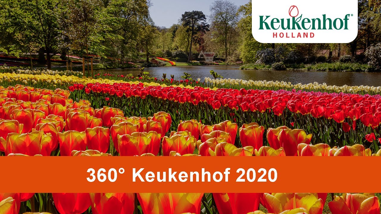 360° Keukenhof 2020 5K 🌷 - Keukenhof Virtually Open