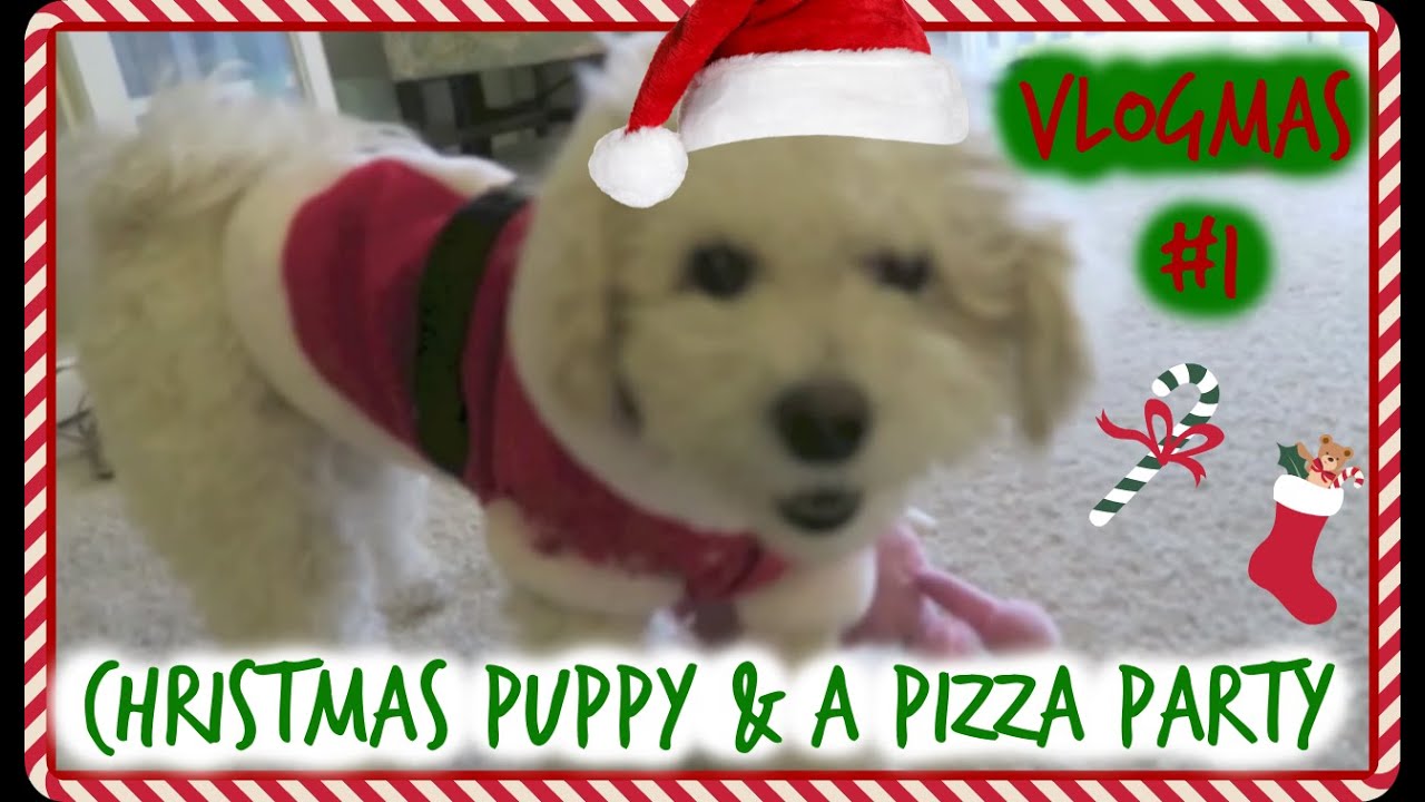 CHRISTMAS PUPPY & A PIZZA PARTY! ❄ VLOGMAS #1 ❄