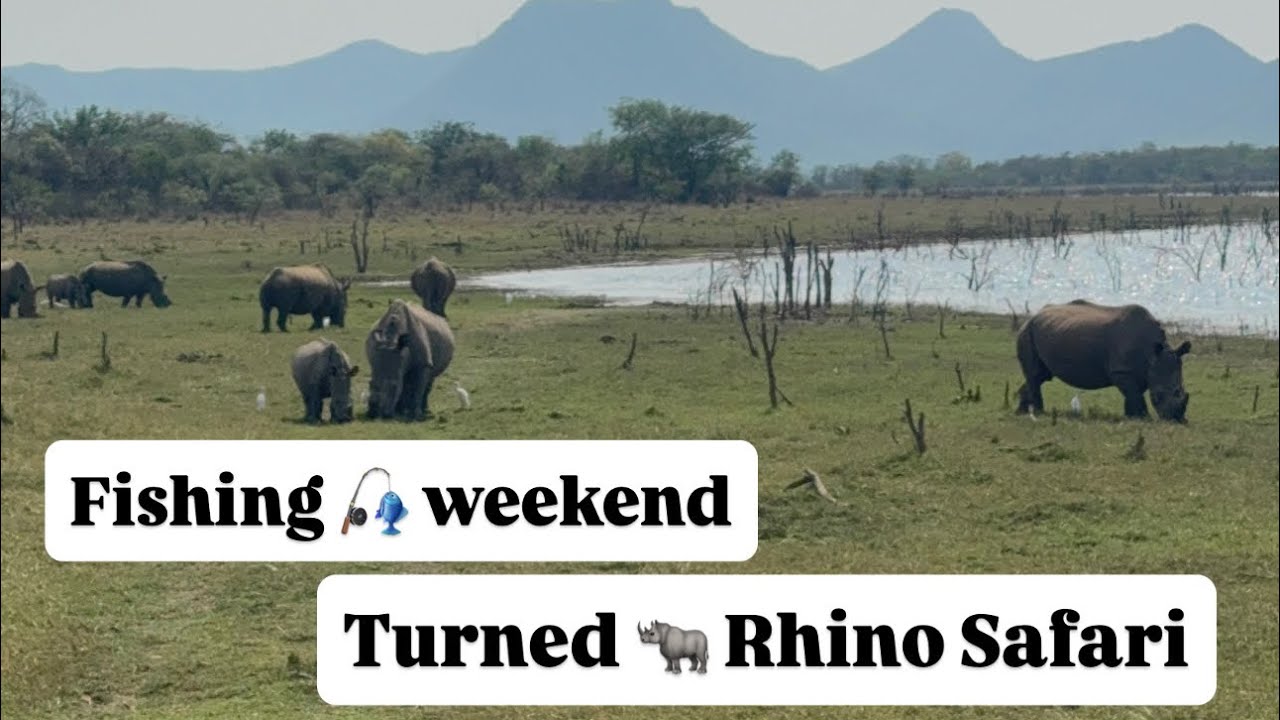 Fishing Weekend turned into a Rhino Safari  - Zimbabwe Hidden Gems 