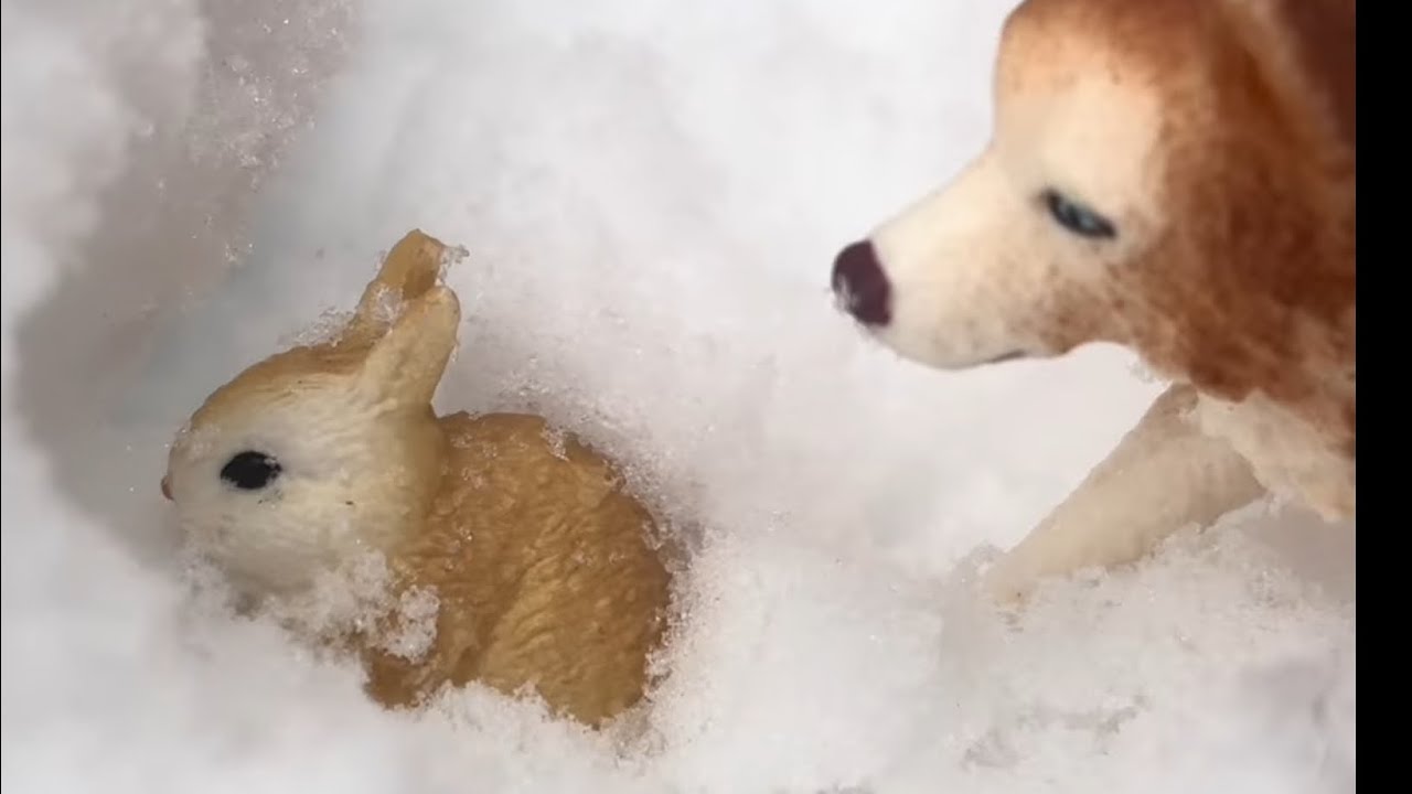 The Lost Bunny / Schleich