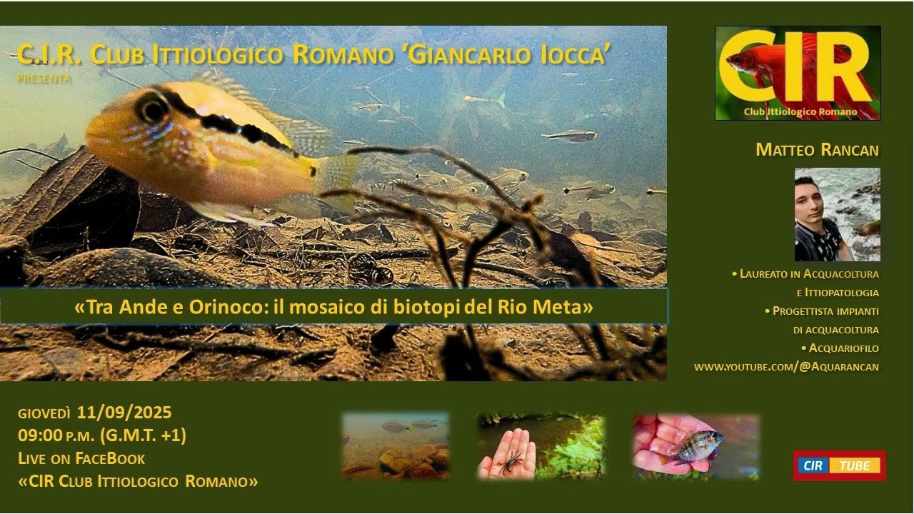 Tra Ande e Orinoco, il mosaico di biotopi del rio Meta, di Matteo Rancan