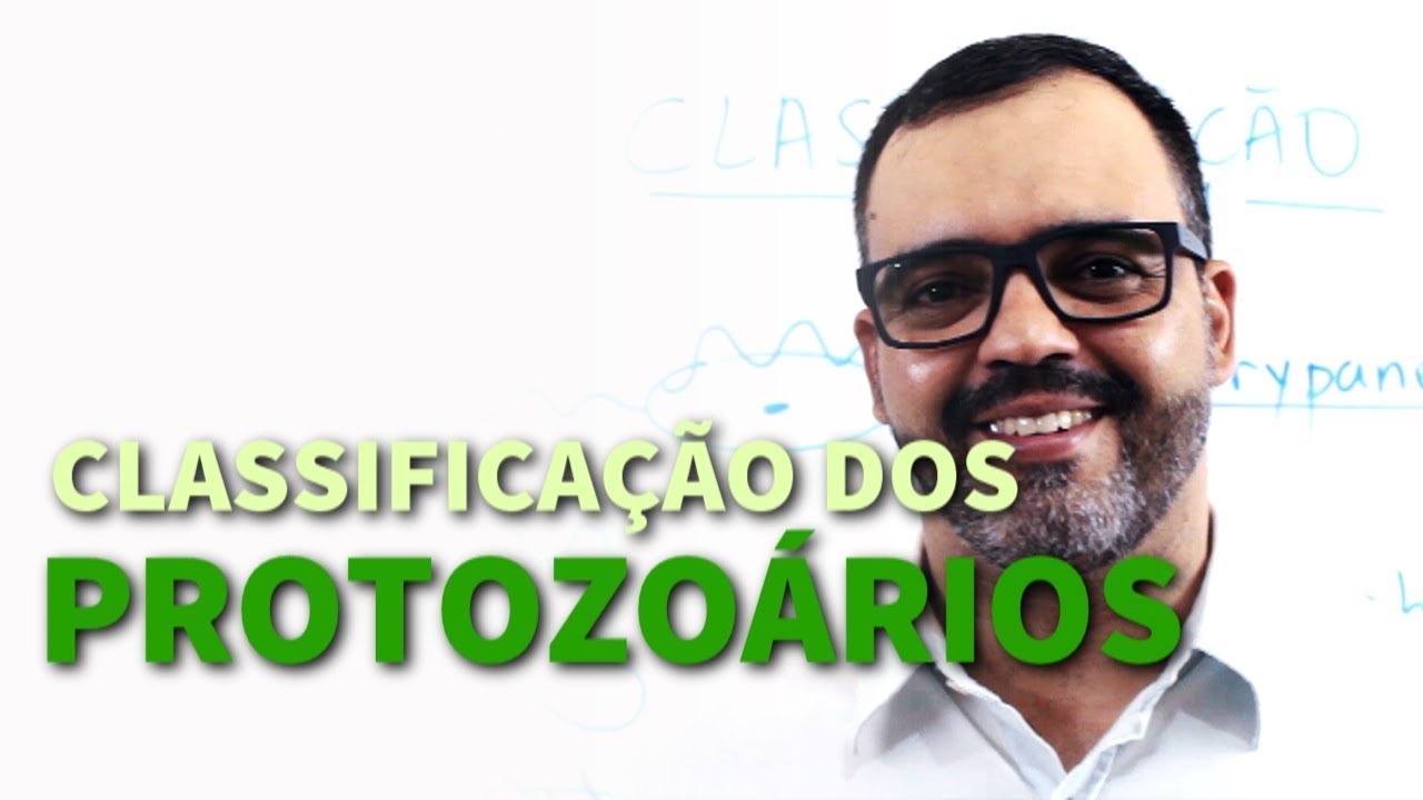 Classificação dos protozoários | Fabiano Matos Biologia