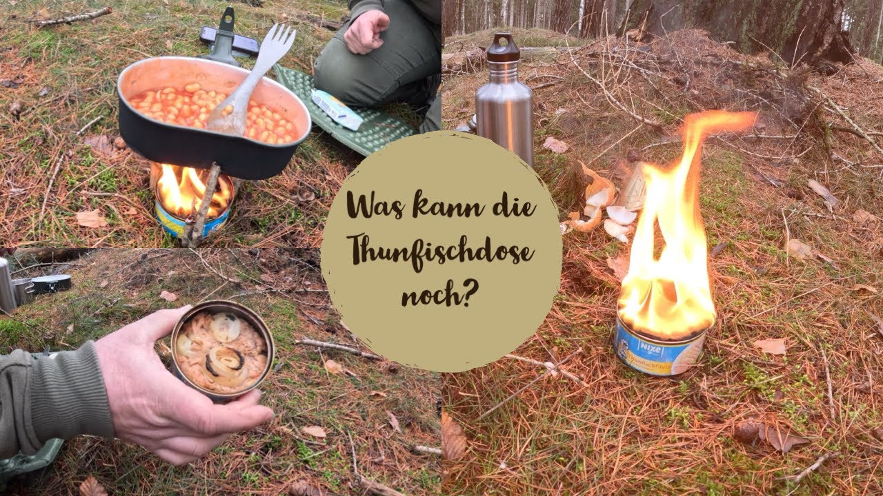 Die gute Thunfischdose. Für mehr bestimmt?