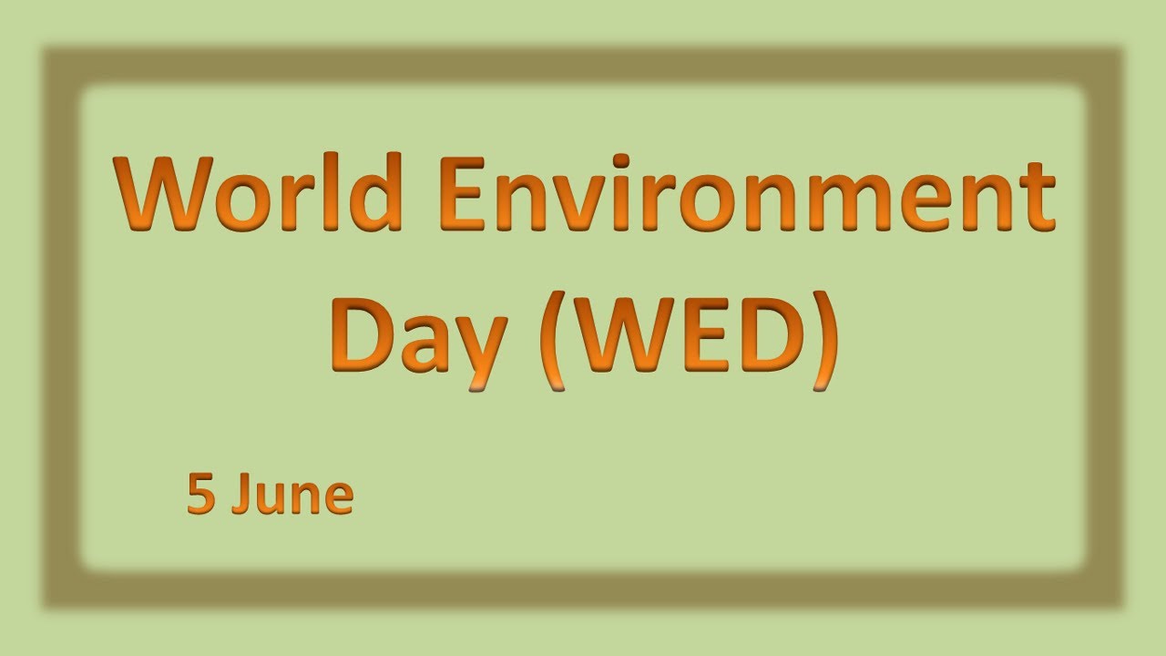 World Environment Day | World Environment Day 2023