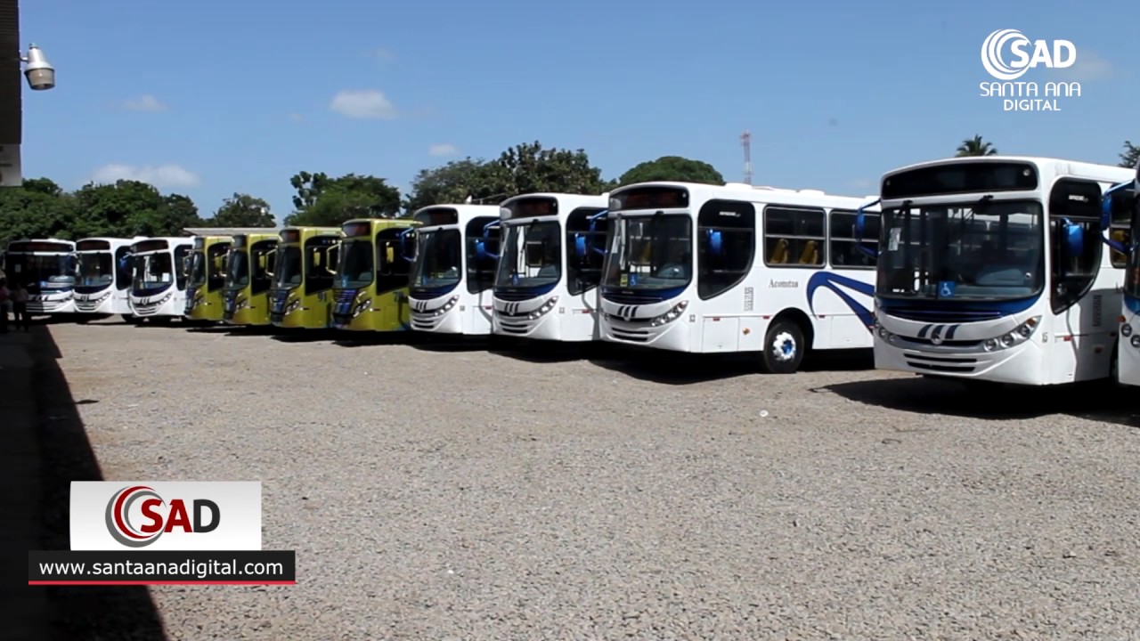 Renuevan flota de buses en Santa Ana