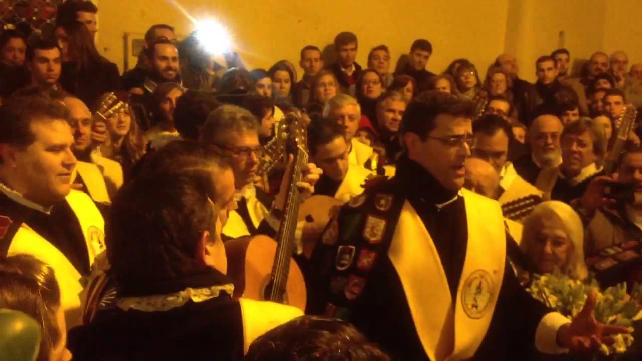 Tuna Medicina Sevilla - Inmaculada (Postigo 2012) parte 2