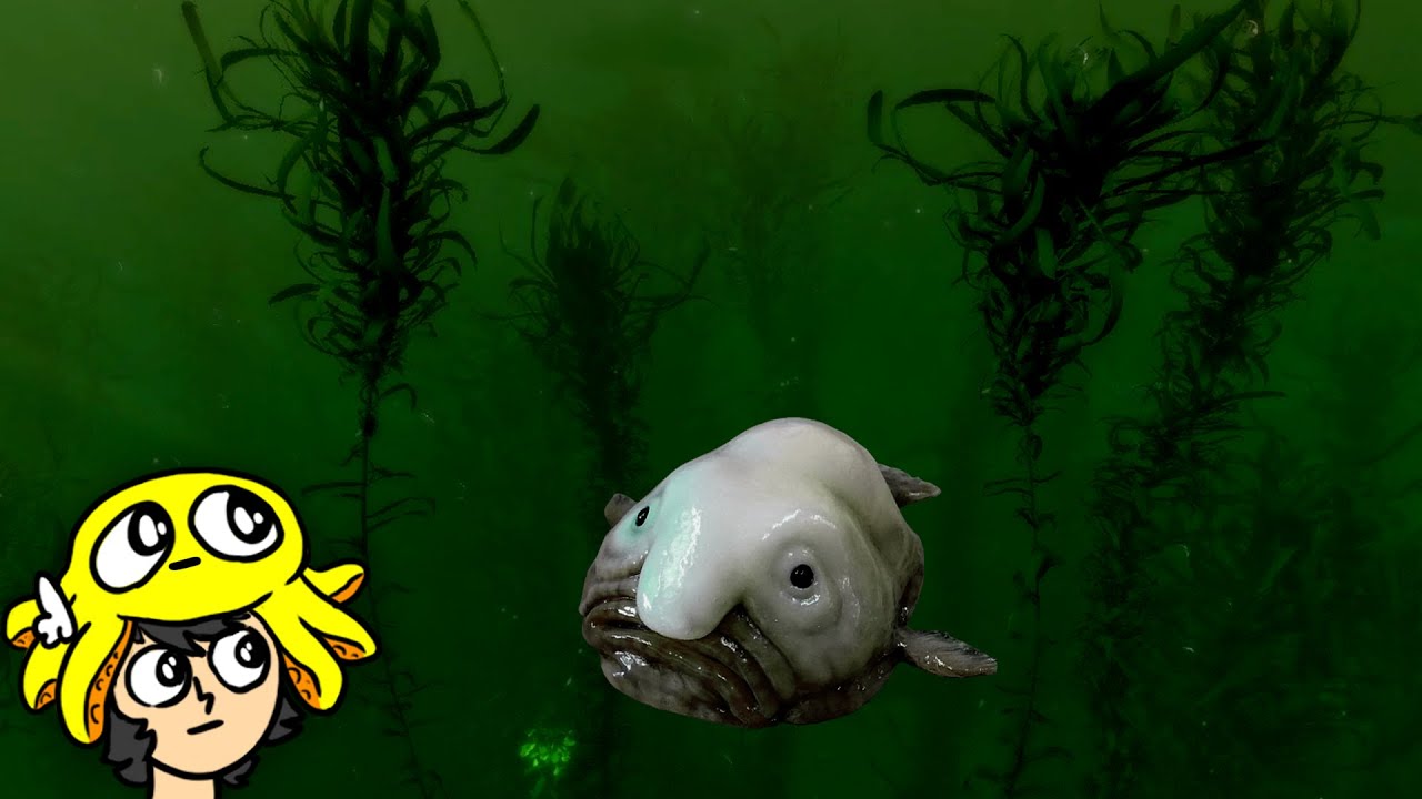 finalmente joguei esse jogo por mais de 5 minutos e continuo com medo