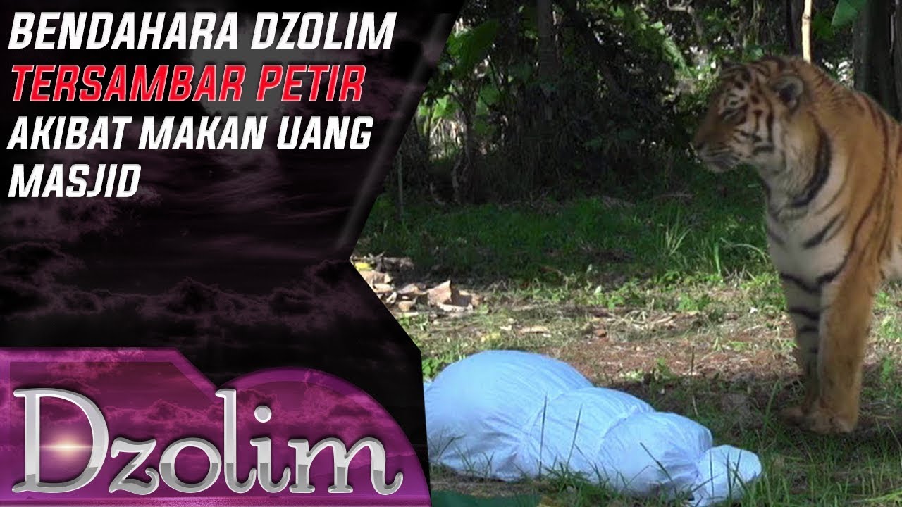 Nyaris Di Makan Harimau! Azab Bendahara Makan Uang Sumbangan Masjid - Dzolim (12/10)