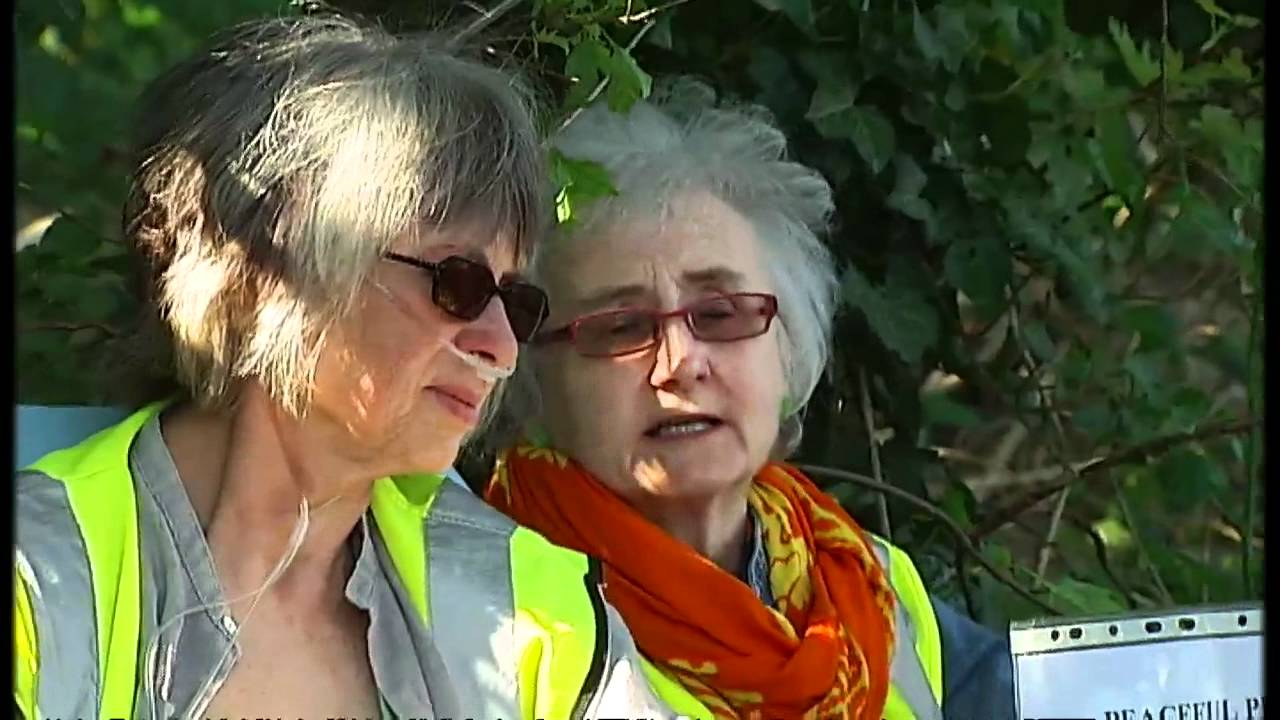 Protesters claim victory in tree felling row
