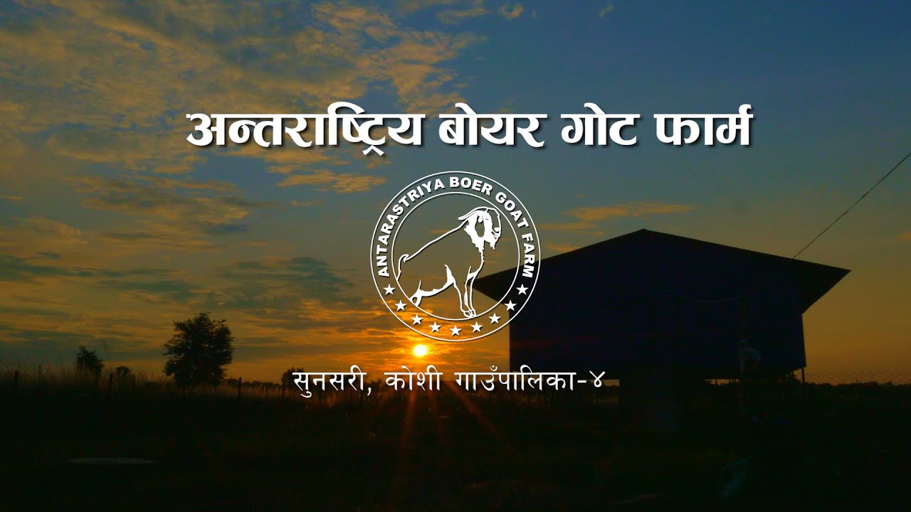 Antarastriya Boer Goat Farm