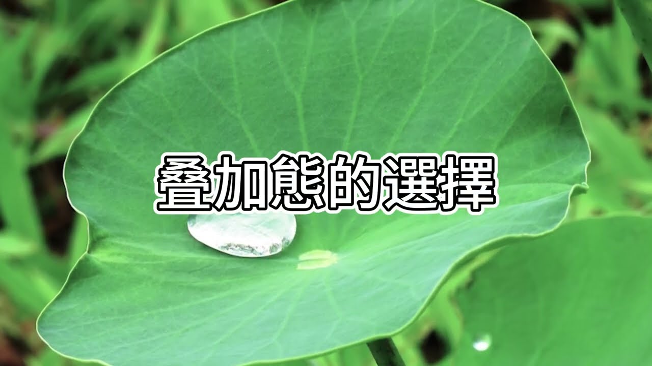 【字幕】做佛教徒可否相信有造物主?  |  阿贊耀答問 2026-01-10 （廣東話）