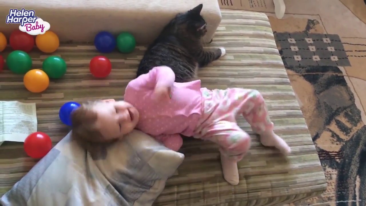 Малыш и котик